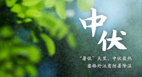 【三伏養(yǎng)生】至熱中伏，吃三樣，喝三樣，三大禁忌千萬別犯，小心落下病根！
