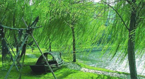 【養(yǎng)生知識(shí)】元宵入六九，春季已至，六九天的養(yǎng)生知識(shí)你知道多少？