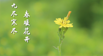 【九九養(yǎng)生】三月四日“九九日”，寒冬已過。春天養(yǎng)好身，全年不怕病！