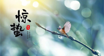 【二十四節(jié)氣灸】驚蟄節(jié)氣，艾灸喚醒抵抗力、補(bǔ)充陽氣的最好時(shí)機(jī)！