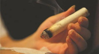 【艾灸知識】春暖花開，衣衫漸薄，再不減肥，身上的肉肉可藏不住了！