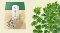 【行業資訊】國內首部艾草專著《南陽艾》，在南陽新書首發！