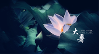 【二十四節(jié)氣灸】趁大暑好好艾灸，才不辜負(fù)三伏天的驕陽！