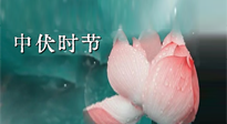 【艾灸三伏天】中伏：三伏灸的關(guān)鍵轉(zhuǎn)折點(diǎn)！“灸”除病根的大好時(shí)機(jī)！