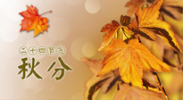 【二十四節(jié)氣灸】秋分節(jié)氣，平衡陰陽(yáng)，巧用艾灸，潤(rùn)燥養(yǎng)肺是關(guān)鍵！