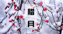 【臘月養生】調氣血、補陽氣、促進良好睡眠，健康一整年！