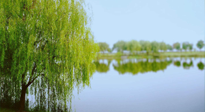 【艾灸知識】春三月，必艾灸穴位：疏肝理氣，養(yǎng)血調(diào)神！