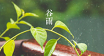 【二十四節(jié)氣灸】谷雨節(jié)氣脾土濕，艾灸降濕濁，脾旺不受邪！