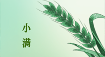 【二十四節氣灸】小滿節氣記得艾灸，悠悠長夏，健康度過！