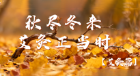 【健康/艾灸】秋盡冬來(lái)，艾灸正當(dāng)時(shí)——解鎖季節(jié)交替的養(yǎng)生密碼！